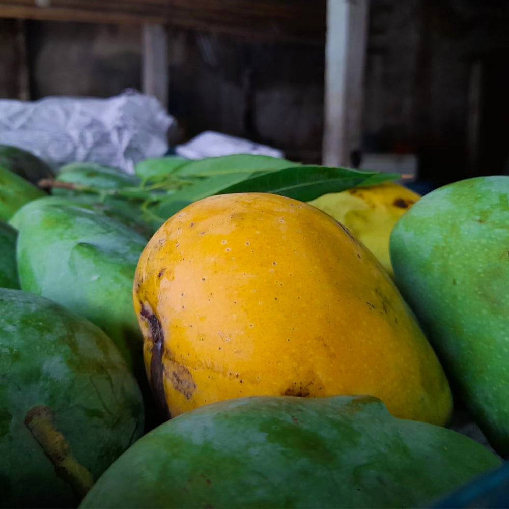 লক্ষণভোগ- ১ ক্যারেট বা ২৫ - ২৮ কেজি (Lakshmanbhog- 25kg - 28kg) - ৬৬টাকা প্রতি কেজি