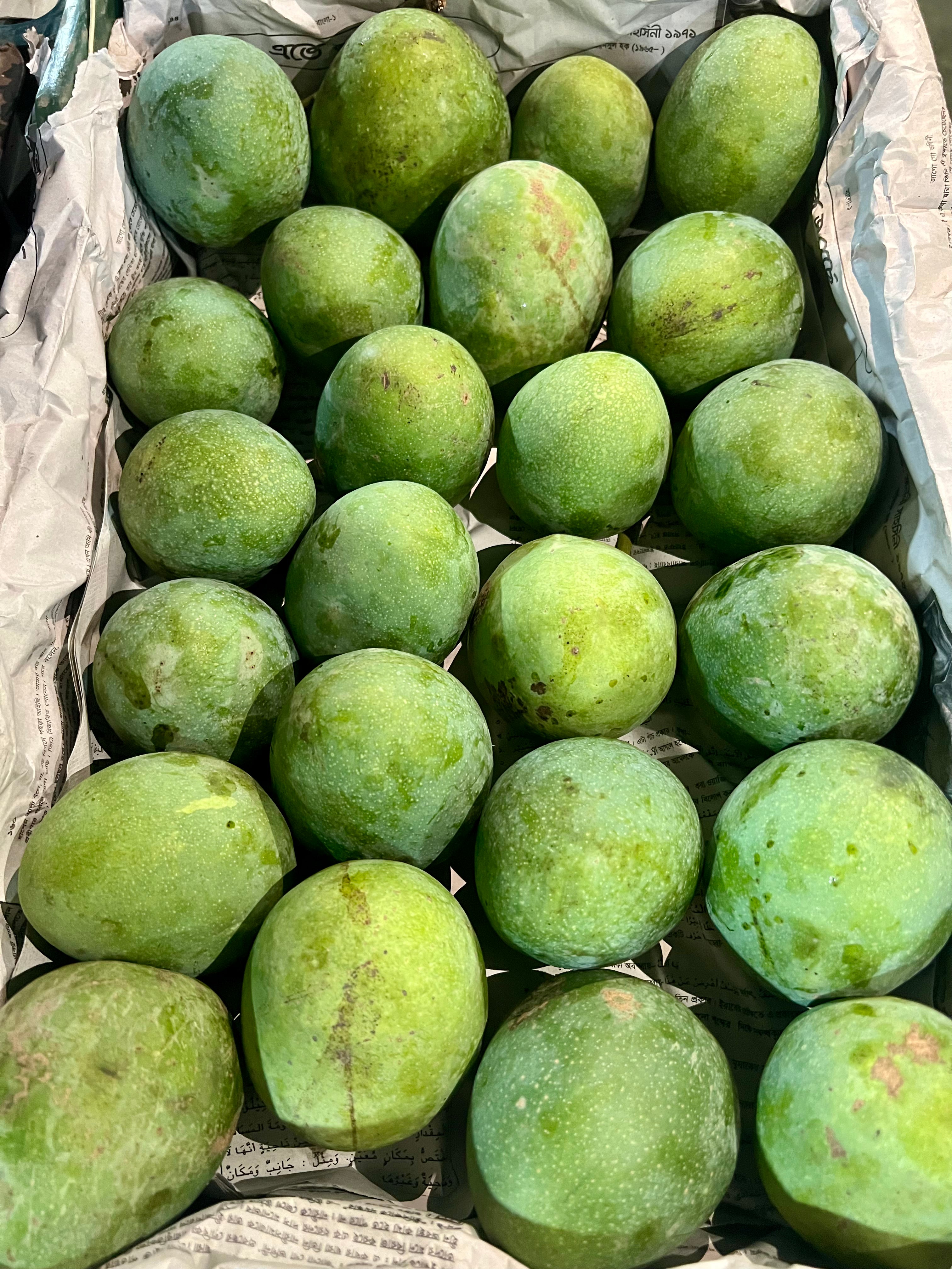 বোগলা গুটি আম (Bogla Guti Mango)