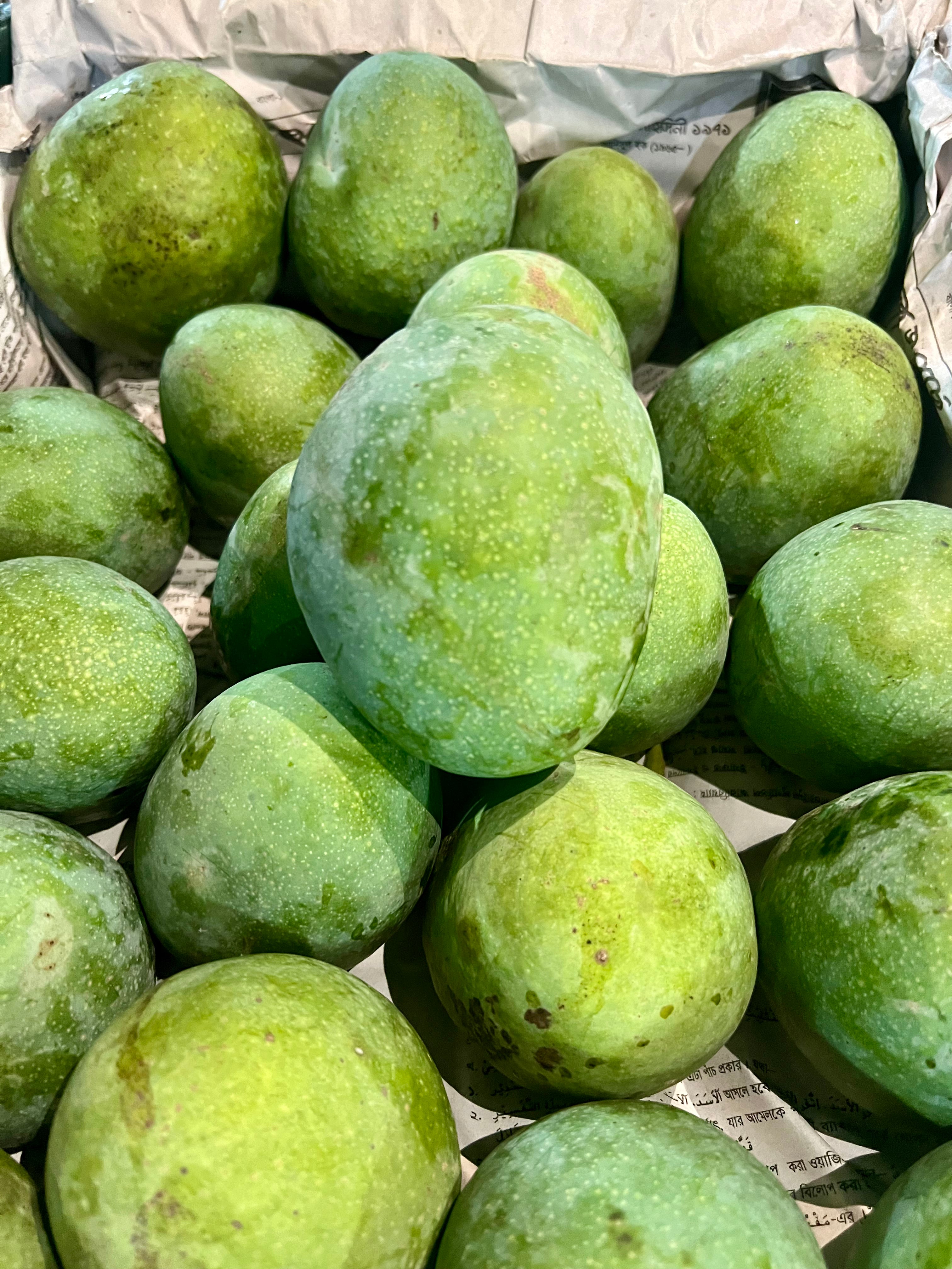 বোগলা গুটি আম (Bogla Guti Mango)