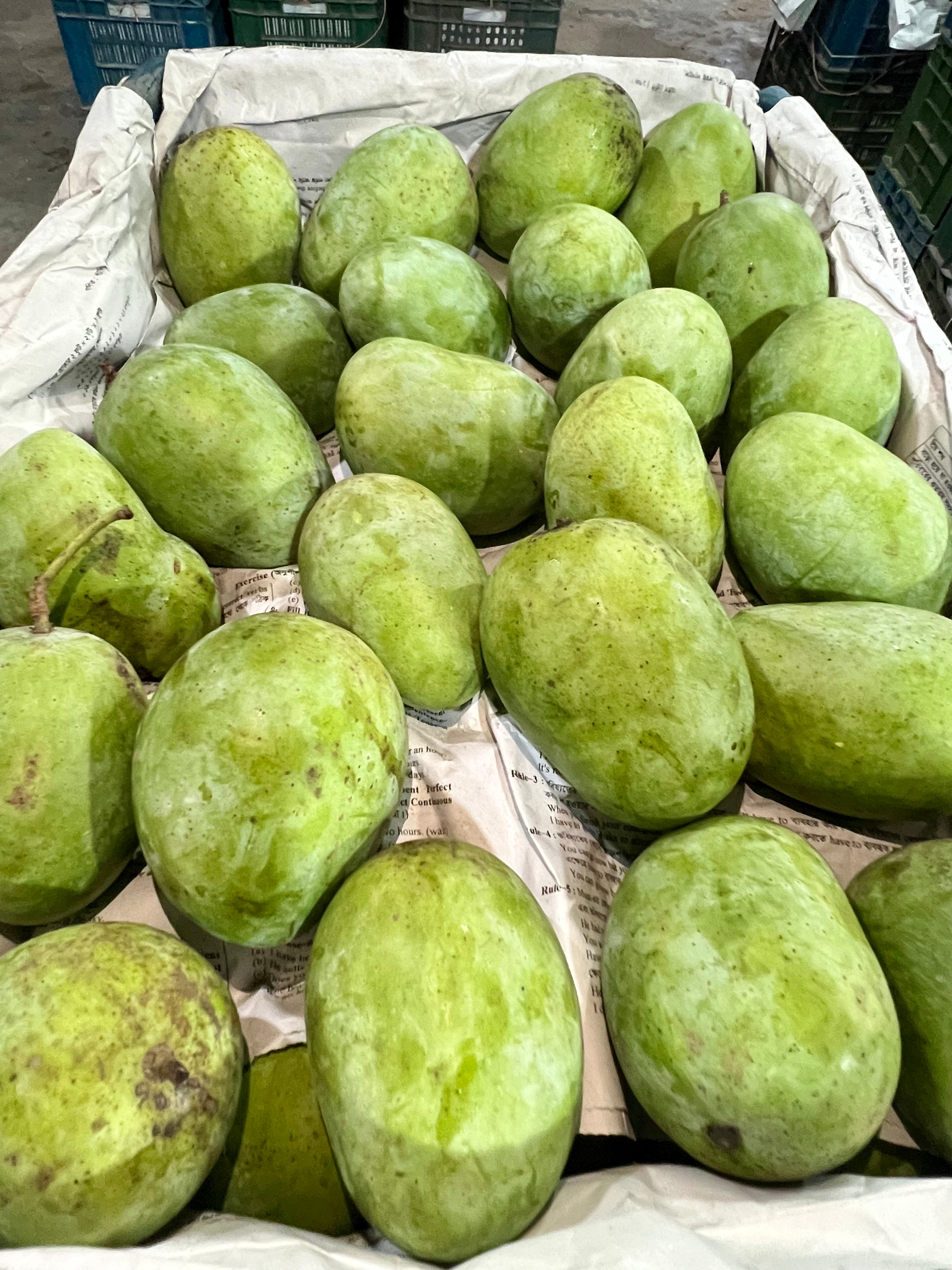 ল্যাংড়া (Lengra)