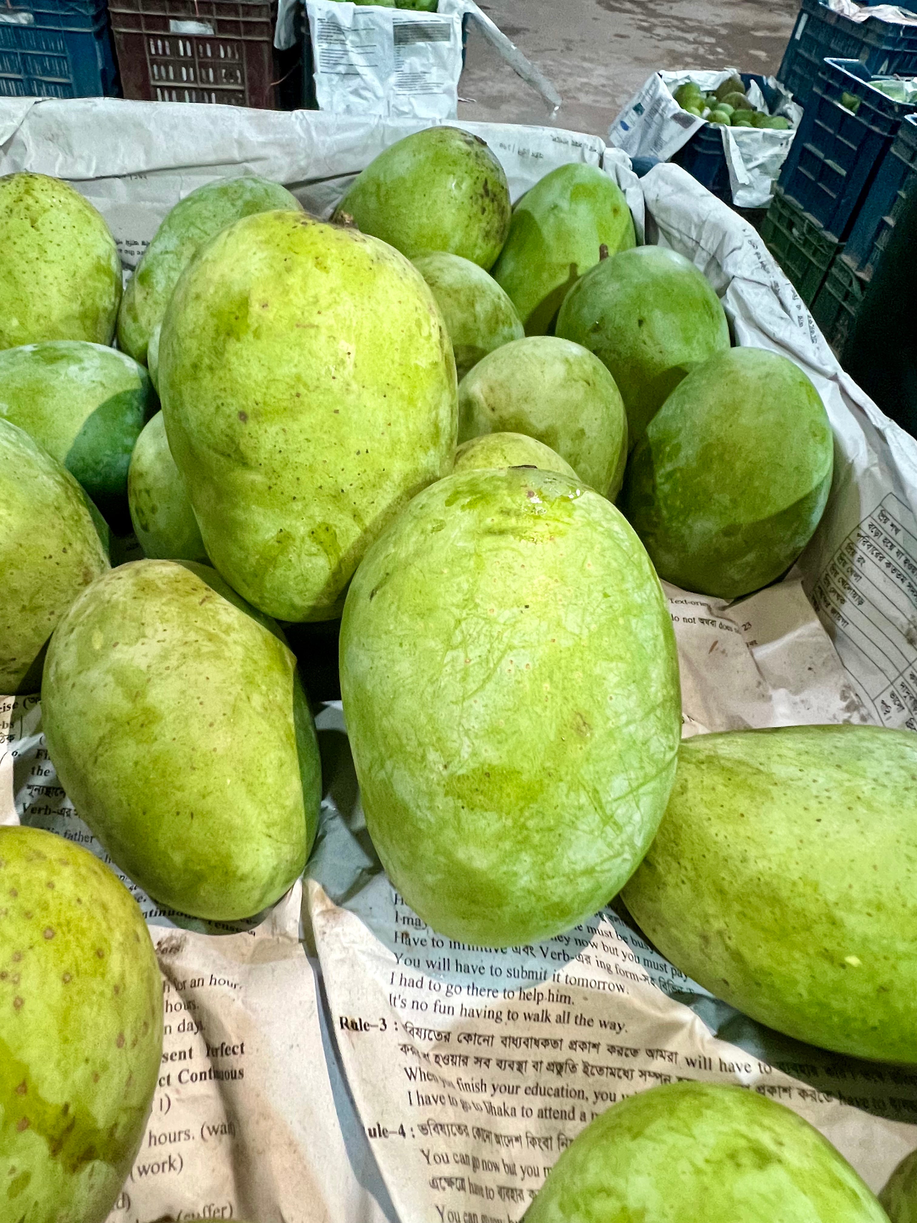 ল্যাংড়া (Lengra)