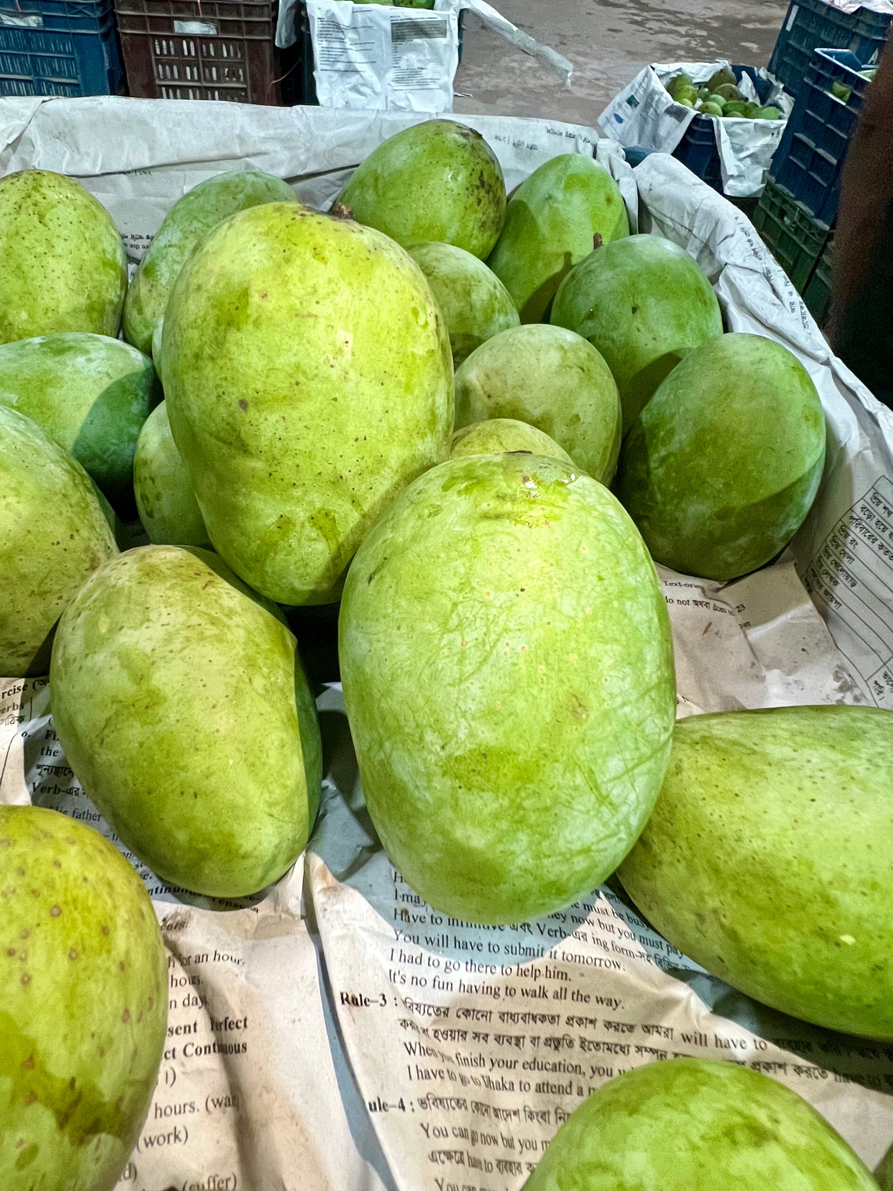 ল্যাংড়া (Lengra)